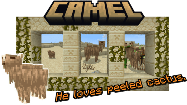 Bactrian Camel