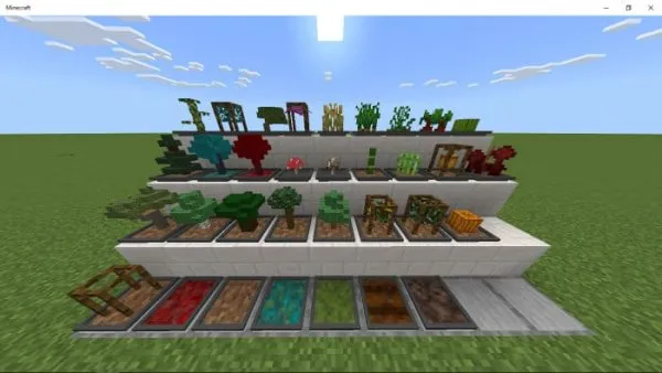 Easy Bonsai: Screenshot