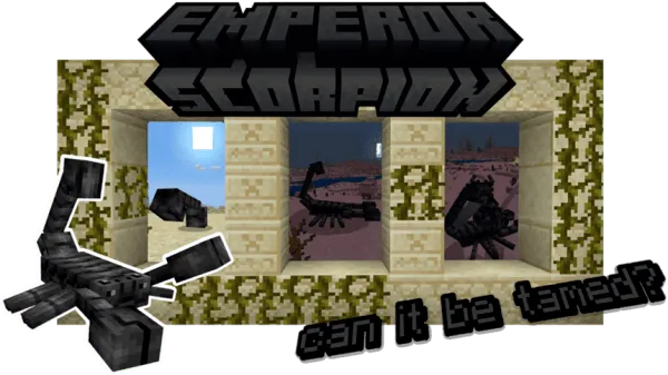 Emperor Scorpion