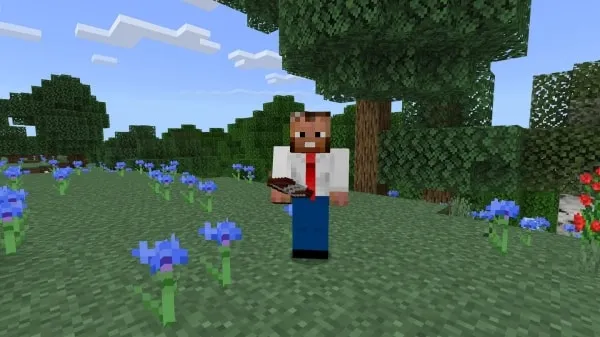 Used Car Salesman