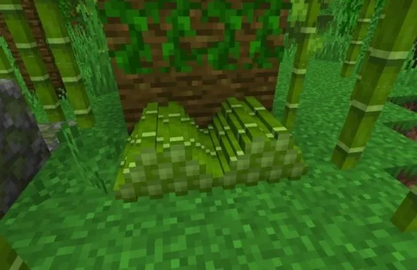 Bamboo Pile