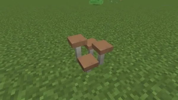 Clump of Brown Mushrooms