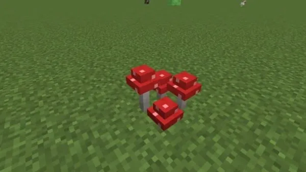 Clump of Red Mushrooms