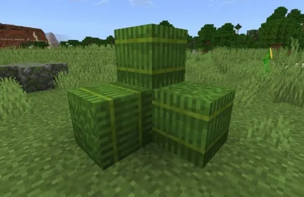 Grass Bale
