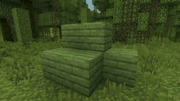 Mossy Planks