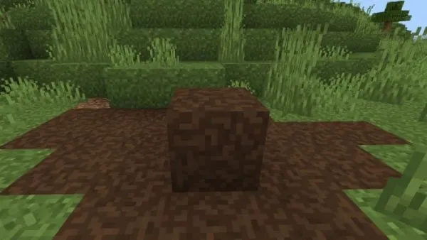 Mud Soil