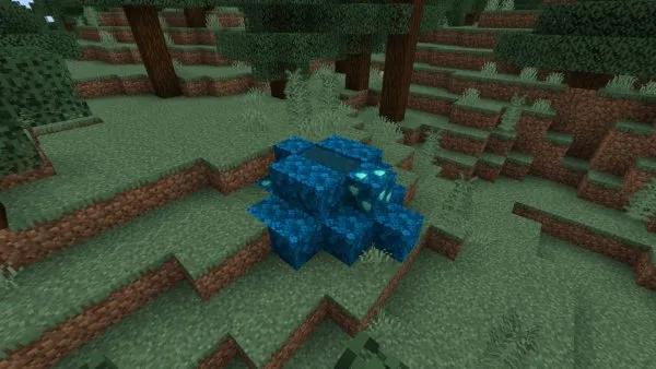 Water Bush