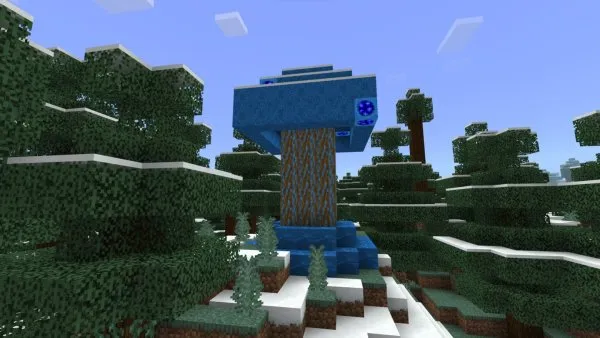 Water Tree Oak