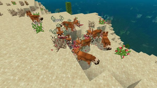 Canis Simensis in the Desert biome