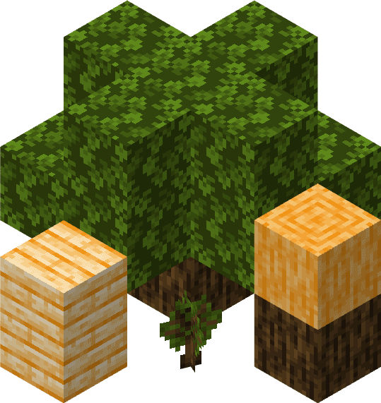 Orange Tree and Blocks