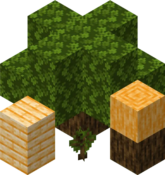 Orange Tree and Blocks