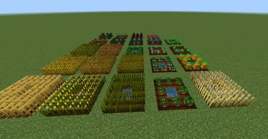 Farmlands with new crops
