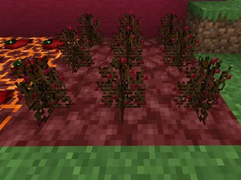 Nether Berries