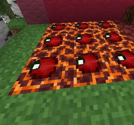 Lava Lilly