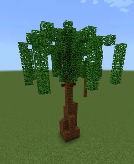 Palm Trees