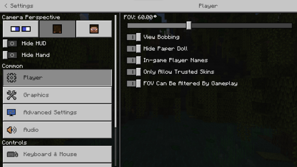 Player section settings in Bedrocktimize addon