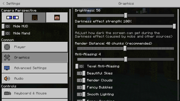 Graphics section settings in Bedrocktimize addon