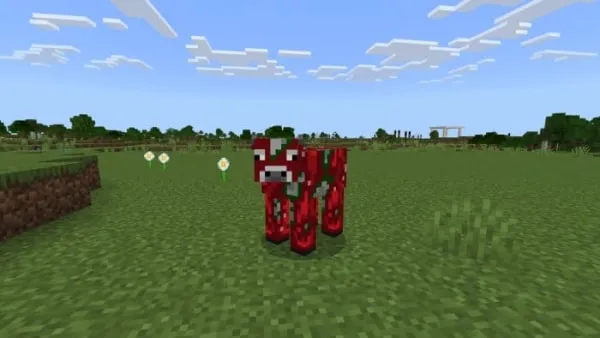 Apple Cow