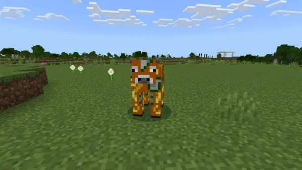 Golden Apple Cow