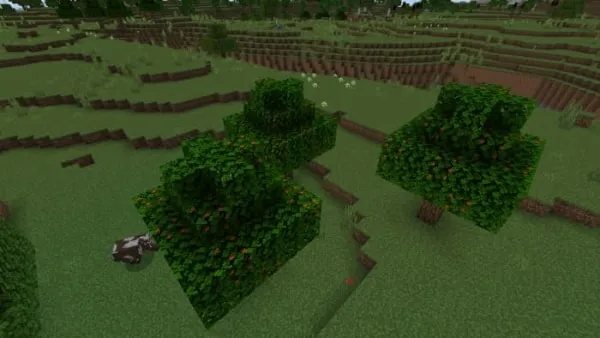New Trees variants