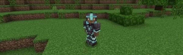 Diamond Netherite armor.