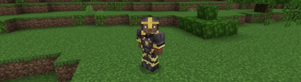 Gold Netherite armor.