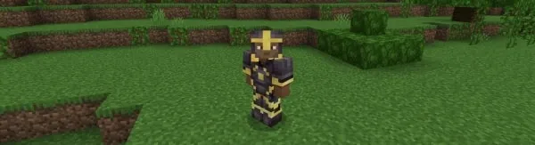 Gold Netherite armor.