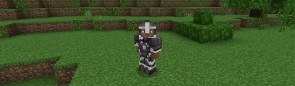Iron Netherite armor.