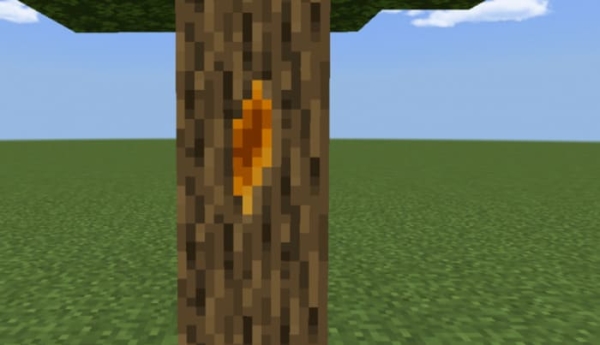 Tree with Liquid Amber: Screenshot