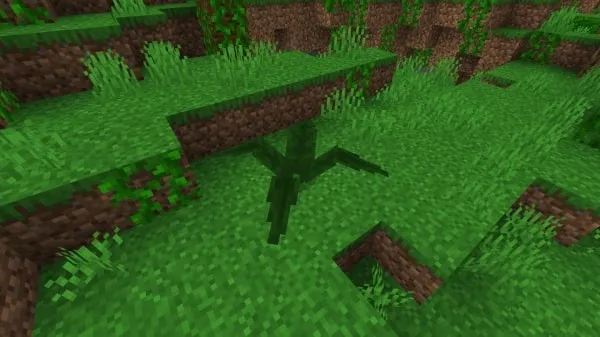The Foliaath hid in the ground