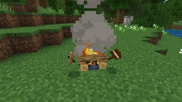 Roasting Kabobs and Smores (screenshot 2)