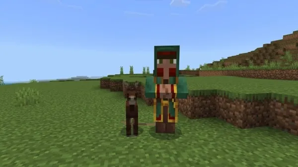 Wandering Farmer