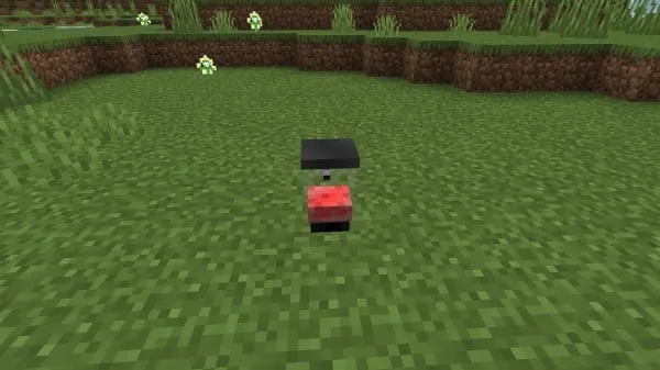 Blender block