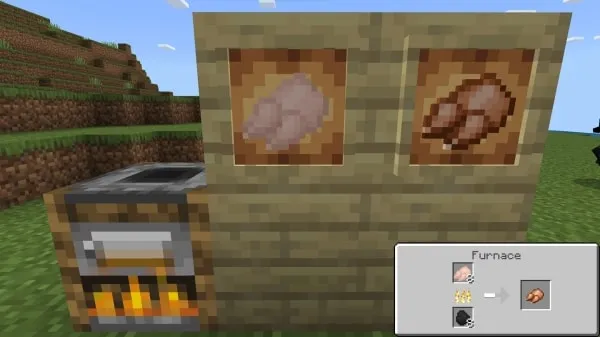 Raw and Cooked Duck
