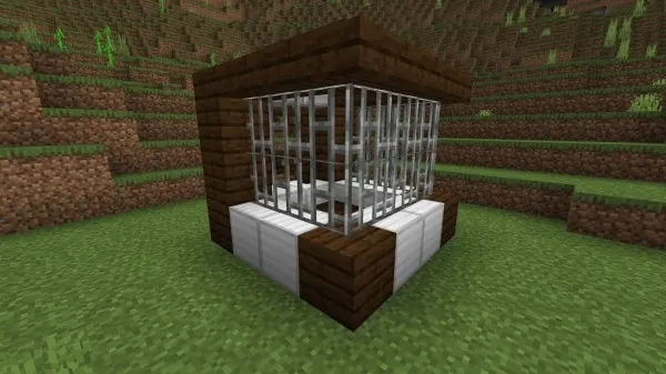 Instant Cage