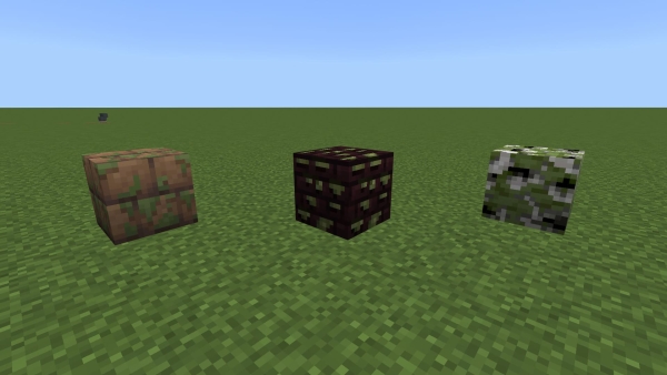 Mossy wood and planks (screenshot 2)