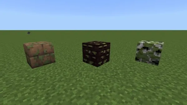 Mossy wood and planks (screenshot 2)