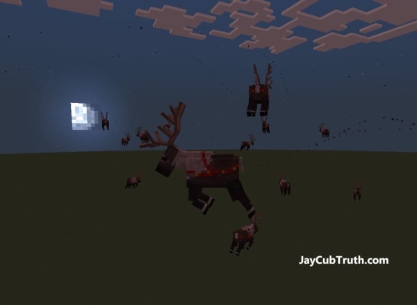 Reindeer animals