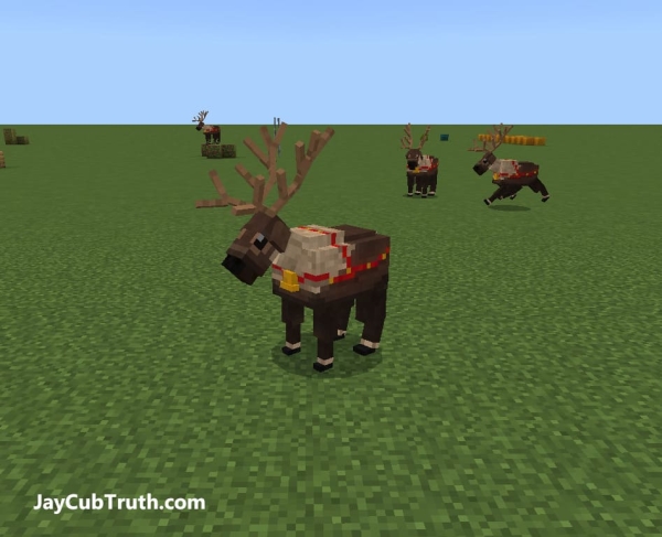 Reindeer animals (screenshot 3)