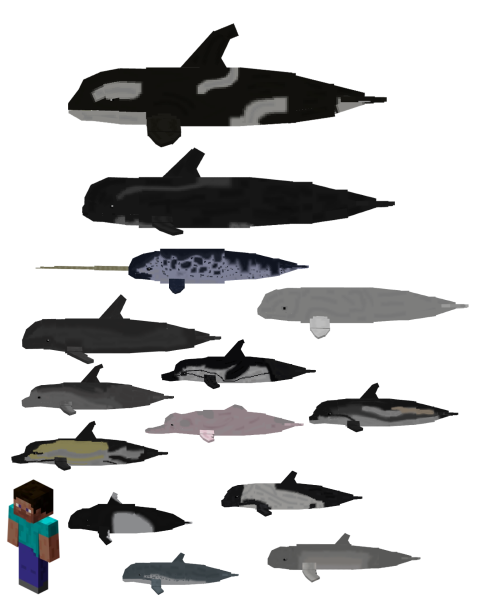 Dolphins variants and comparison with the player