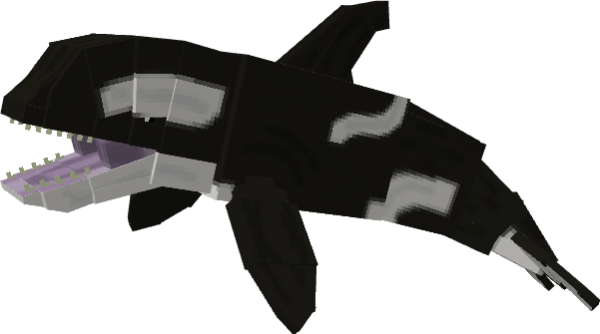 Orca Whale (Killer Whale)