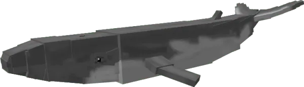 Fin Whale