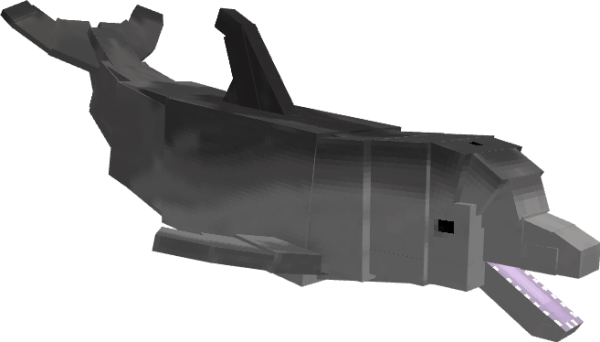 Gray Dolphin