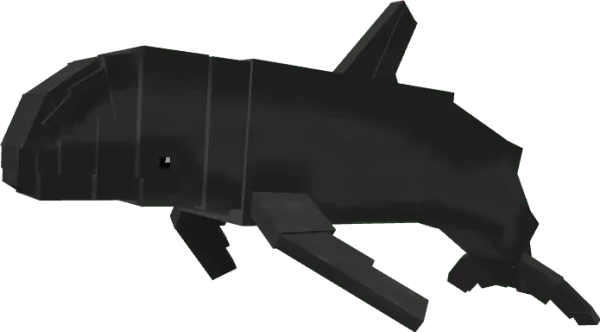 Melon Headed Whale