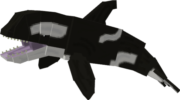 Orca