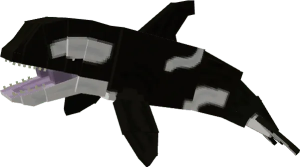 Orca