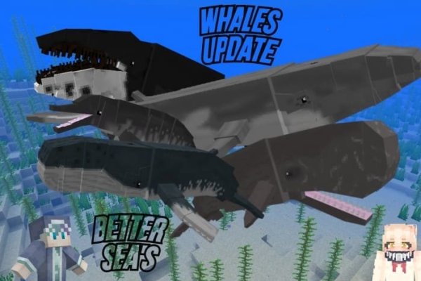 The Better Seas Mammals: Screenshot 2