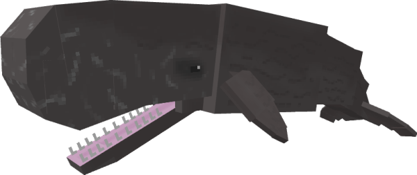 Sperm Whale