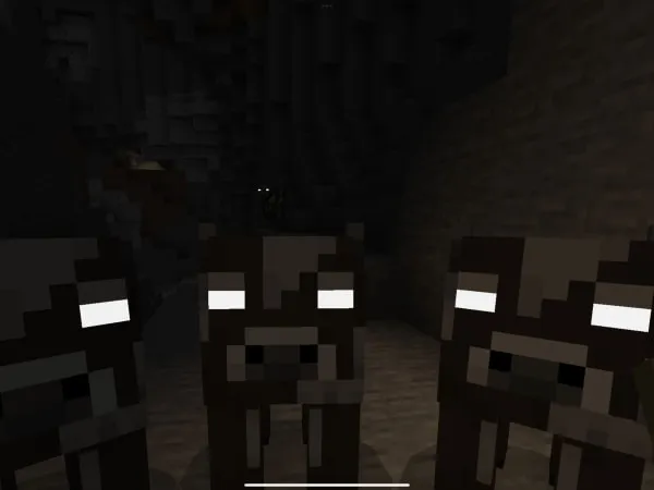 Cows with white eyes