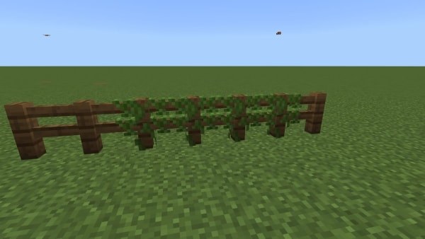 Vine-covered fences (fifth screenshot)